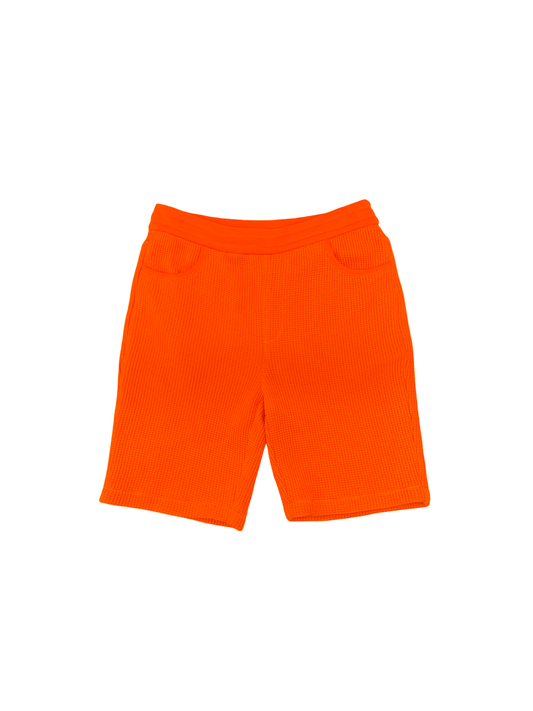 Louis Vuitton Damier Orange Shorts - Used