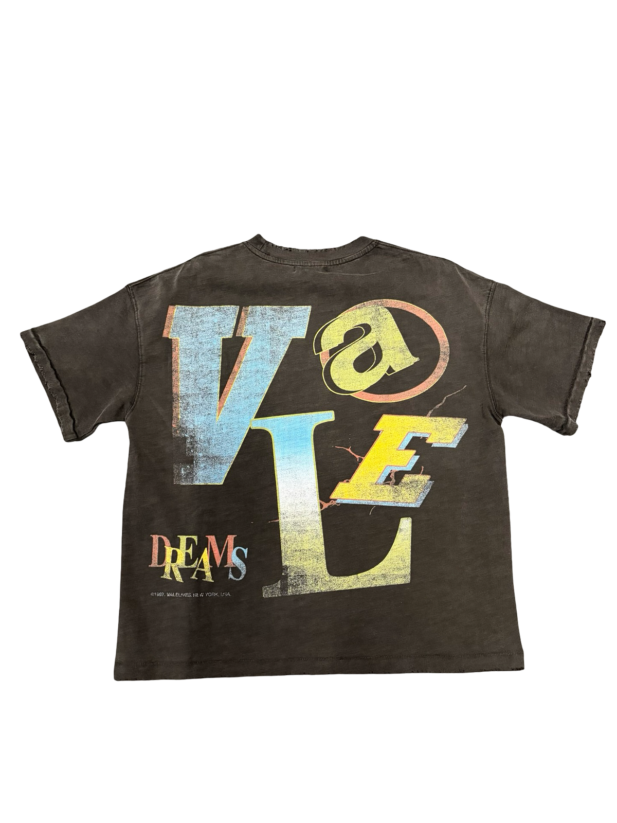 Valley Dreams VS Small Logo Tee