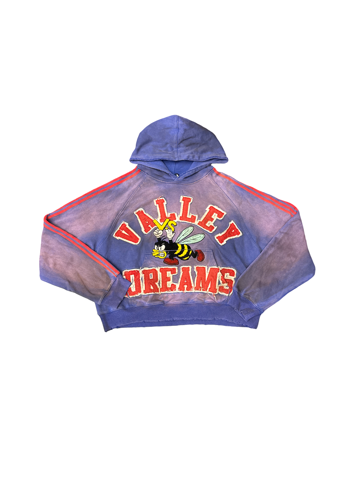 Vale Bee Pullover Hoodie (Blue/Multi)